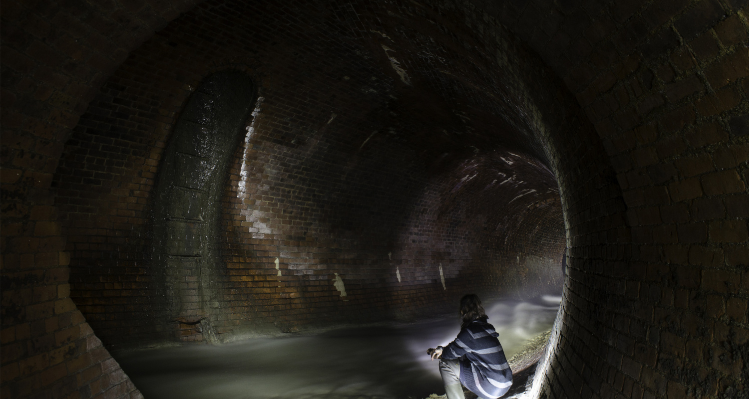 Un univers à découvrir sous vos pieds!