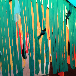 La Craig - Une brique à la fois, en photos