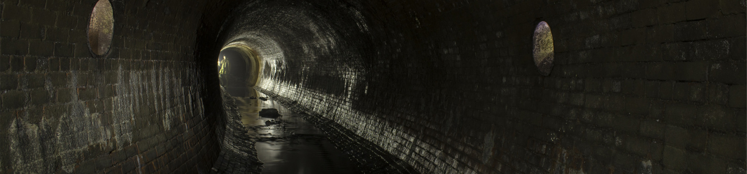 Découvrez un monde fascinant