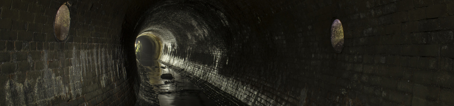 Un musée en devenir